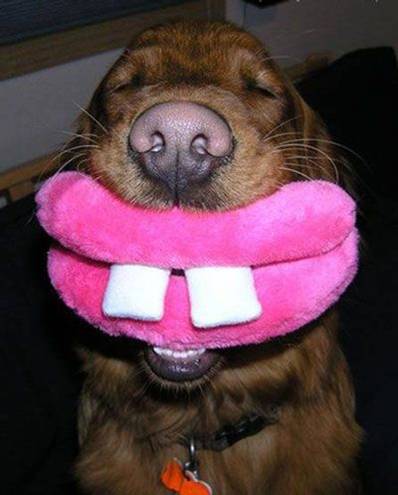 741-two-teeth.jpg