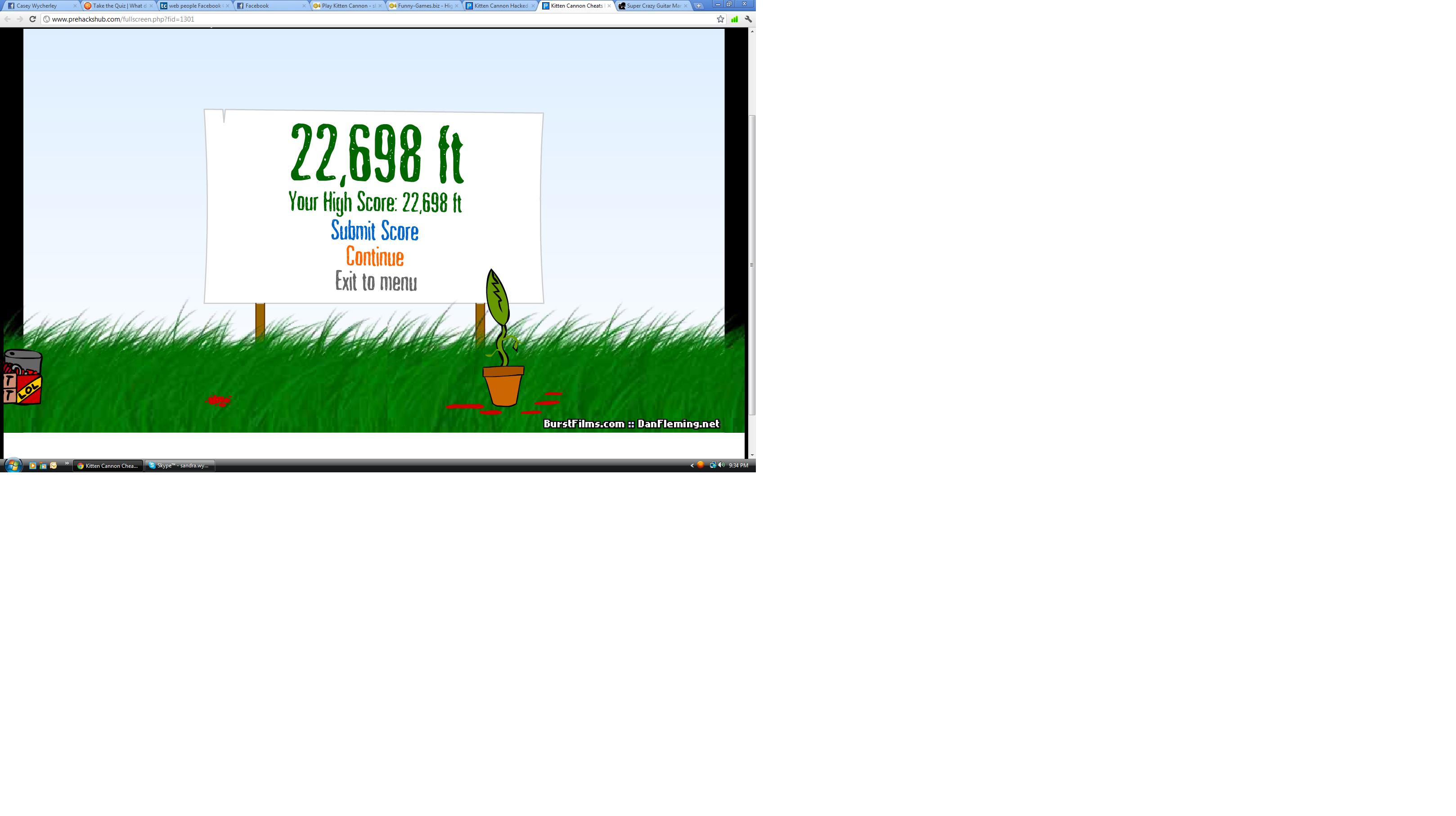 Kitten Cannon shoot the cat as far as possible. Funny game