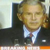 News About Bush