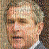 Bush Mosaic