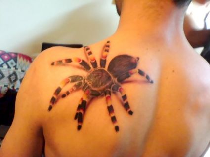 Spider On Shoulder picture