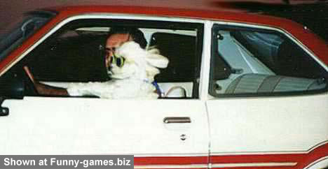 Dog Drive picture