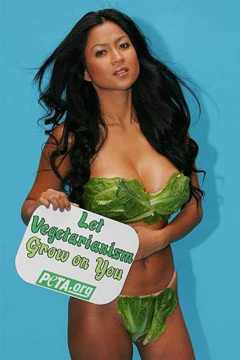 Lettuce Lingerie picture