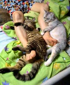 Leg Warmer picture
