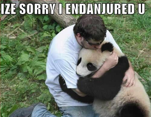 Endangering Panda picture