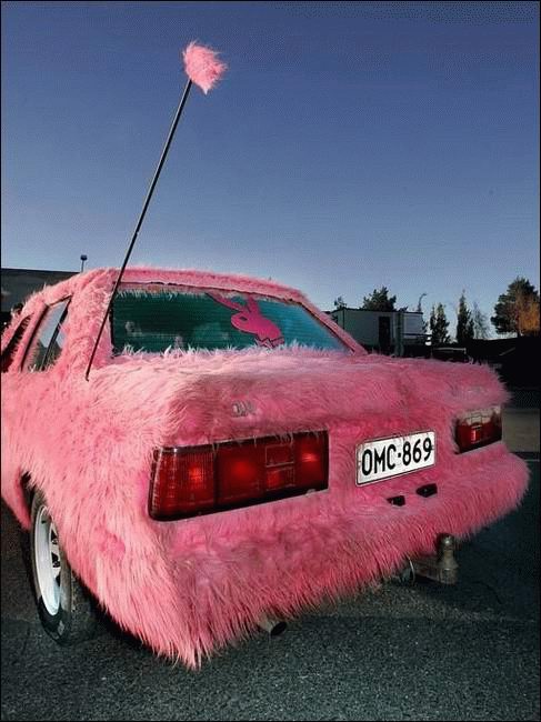 Hairy Car picture