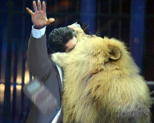 Brave Lion-Tamer picture