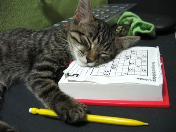 Tiring Sudoku picture