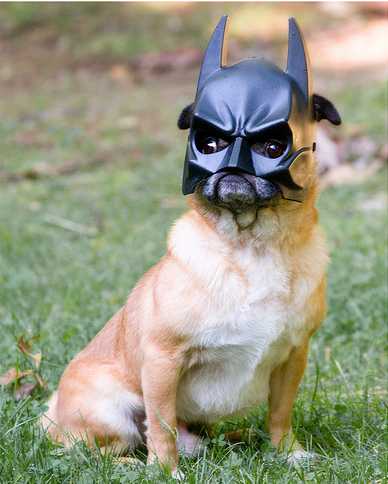 I am Batman picture