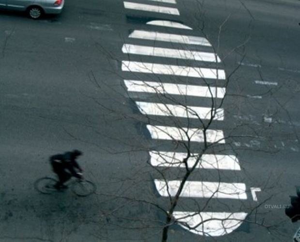 Zebra Crossing picture