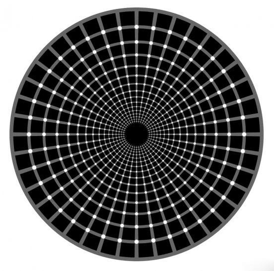 How Many Black Dots picture
