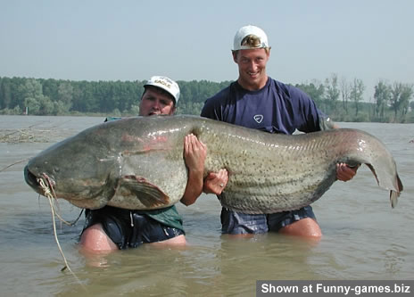 Big Catfish picture