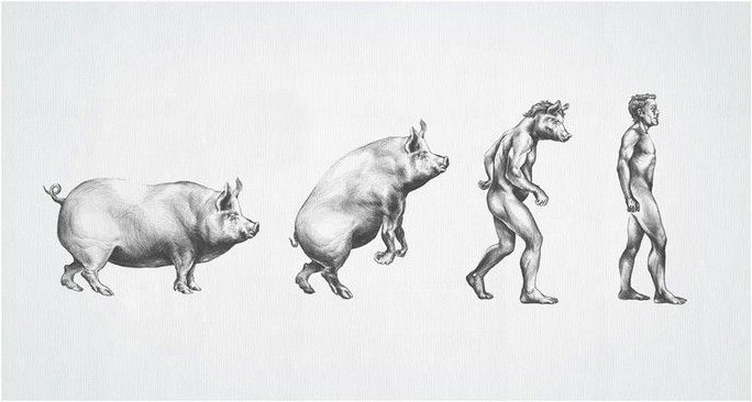 Evolution of Man picture