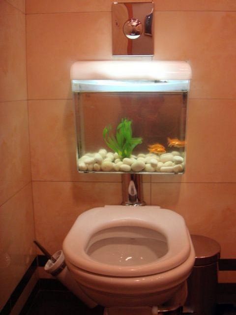 Stylish Water Closet - I wonder how many fish do they need in a year