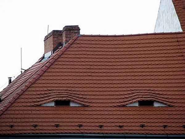 Roof with Eyes picture