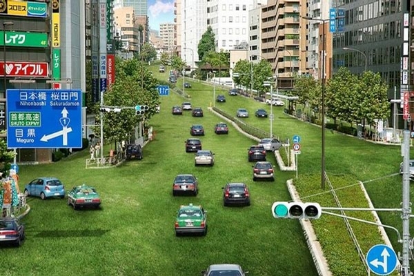Green Traffic picture