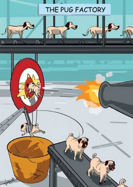 The Pug Factory picture