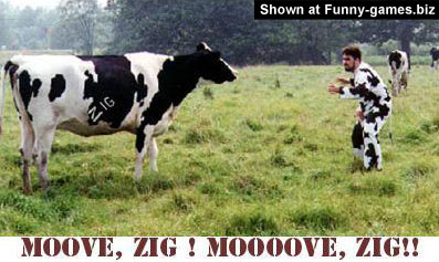 Fun Cow Fight picture