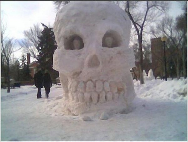 Snow Skull picture