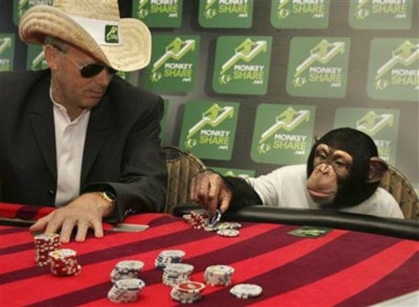 Poker Monkey picture