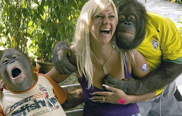 Horny Monkey - naughty monkey grabs big boobs