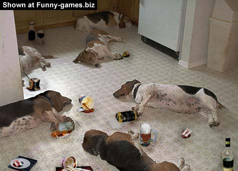 Animal Drinking Party picture