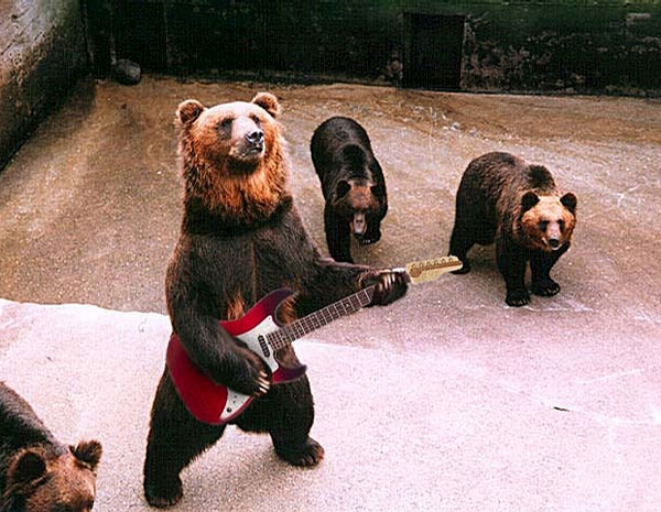 Bear Rock Band picture