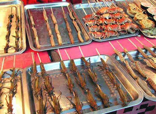 Fried Bugs picture