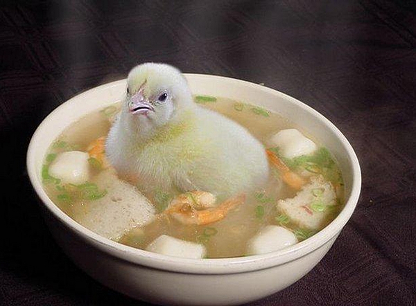 Chicken Soup picture