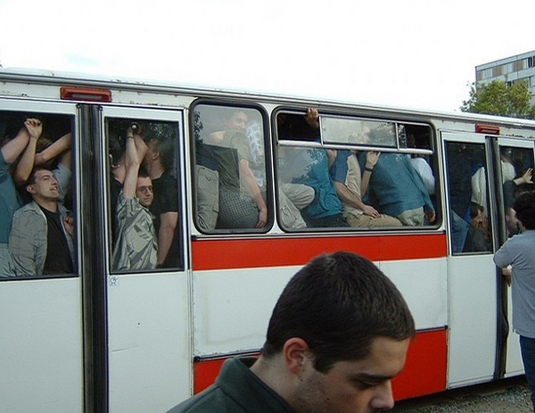 Full Bus picture