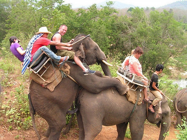 Elephant Joyride picture