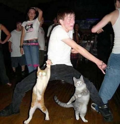 Dancing with Pussies picture