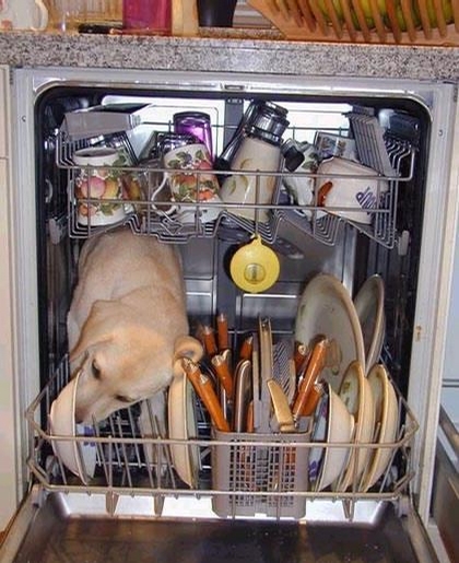 Dishwasher with Twist picture