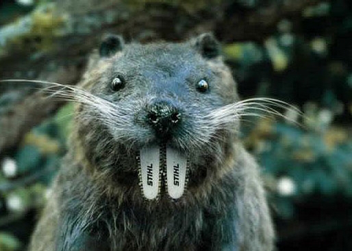 Stihl Beaver picture