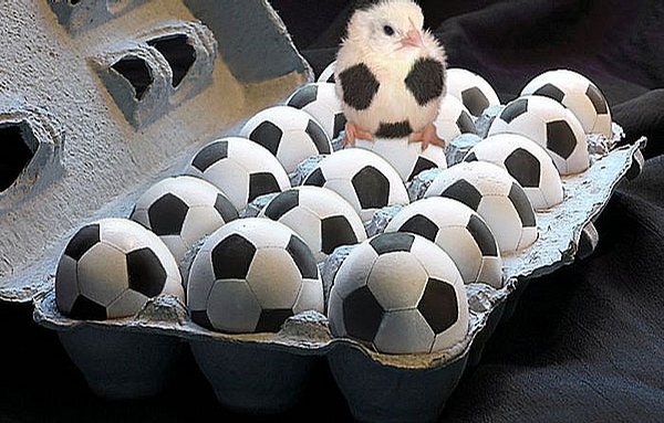 Image result for soccer eggs