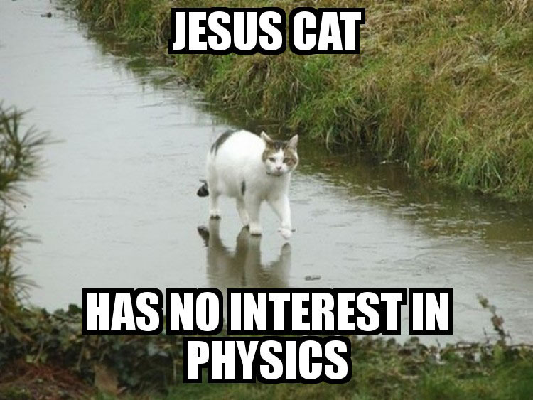 Jesus Cat picture