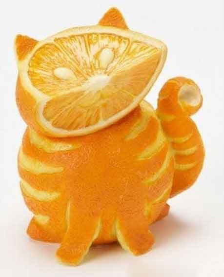 Orange Kitty picture