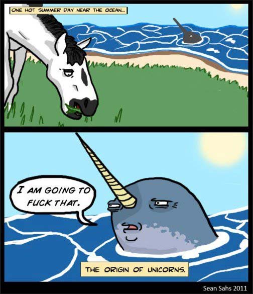 The Origin of Unicorns picture