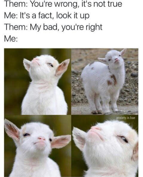 Proud Baby Goat picture