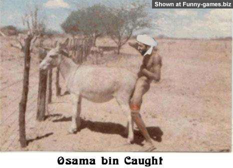 Osama Bin Cought picture