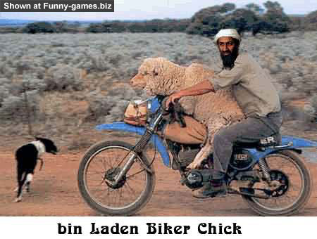 Usama Biker picture