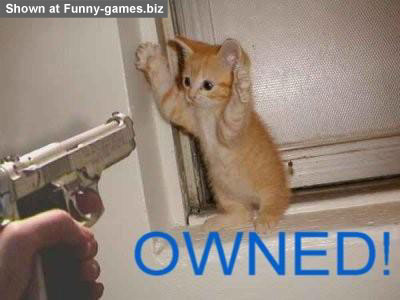 Kitten Owned picture