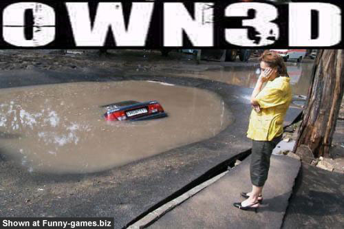 Owned Puddle picture