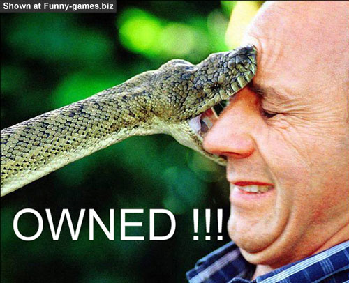 Snake Owned picture