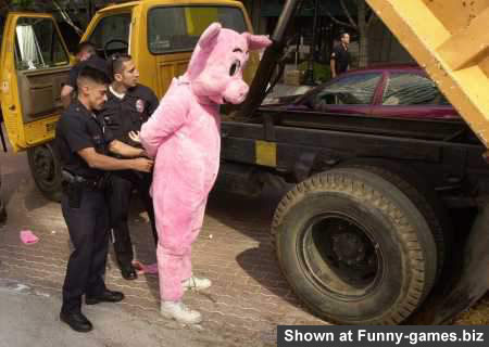 Pink Pig Arrested picture