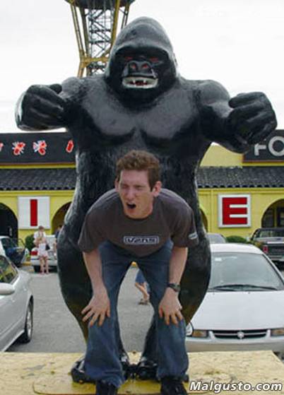 Used By King Kong picture