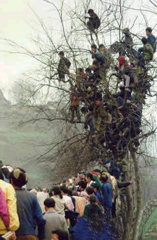 Bulgarian Soccer Audience picture