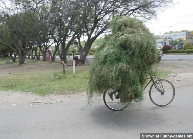 Farm Biker picture