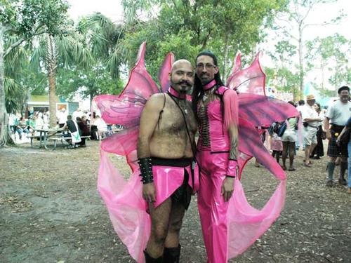 Butterfly Couple picture