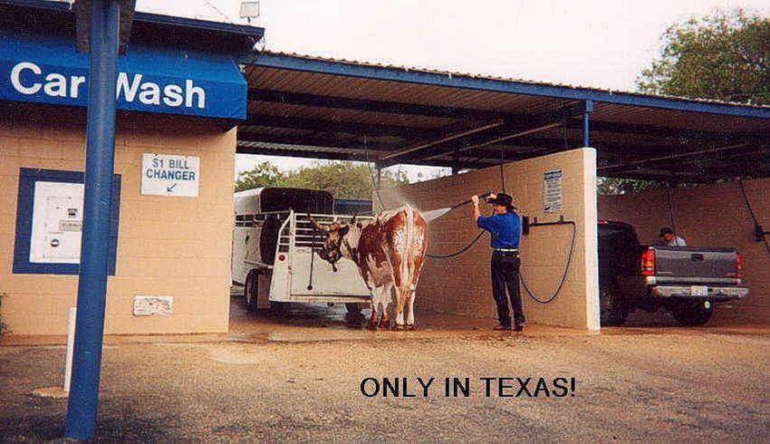 Only In Texas picture